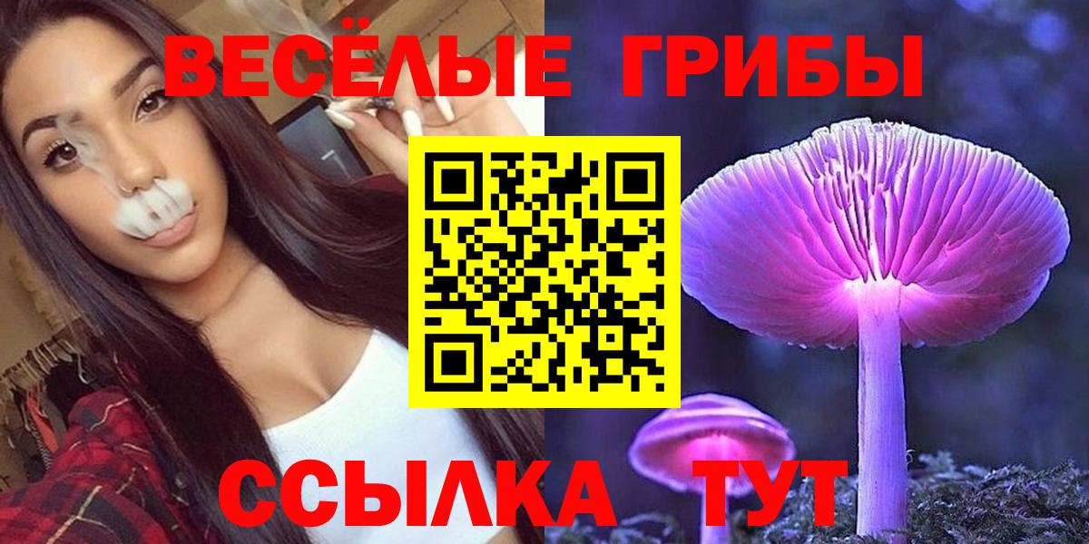 Псилоцибиновые грибы MAGIC MUSHROOMS Вышний Волочёк